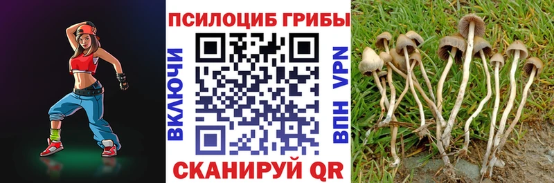 даркнет сайт  Амурск  Псилоцибиновые грибы MAGIC MUSHROOMS 